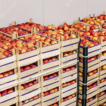 cold storage application in home page